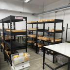 Manufacturing
