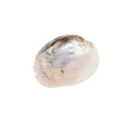 Ivory Mother of Pearl